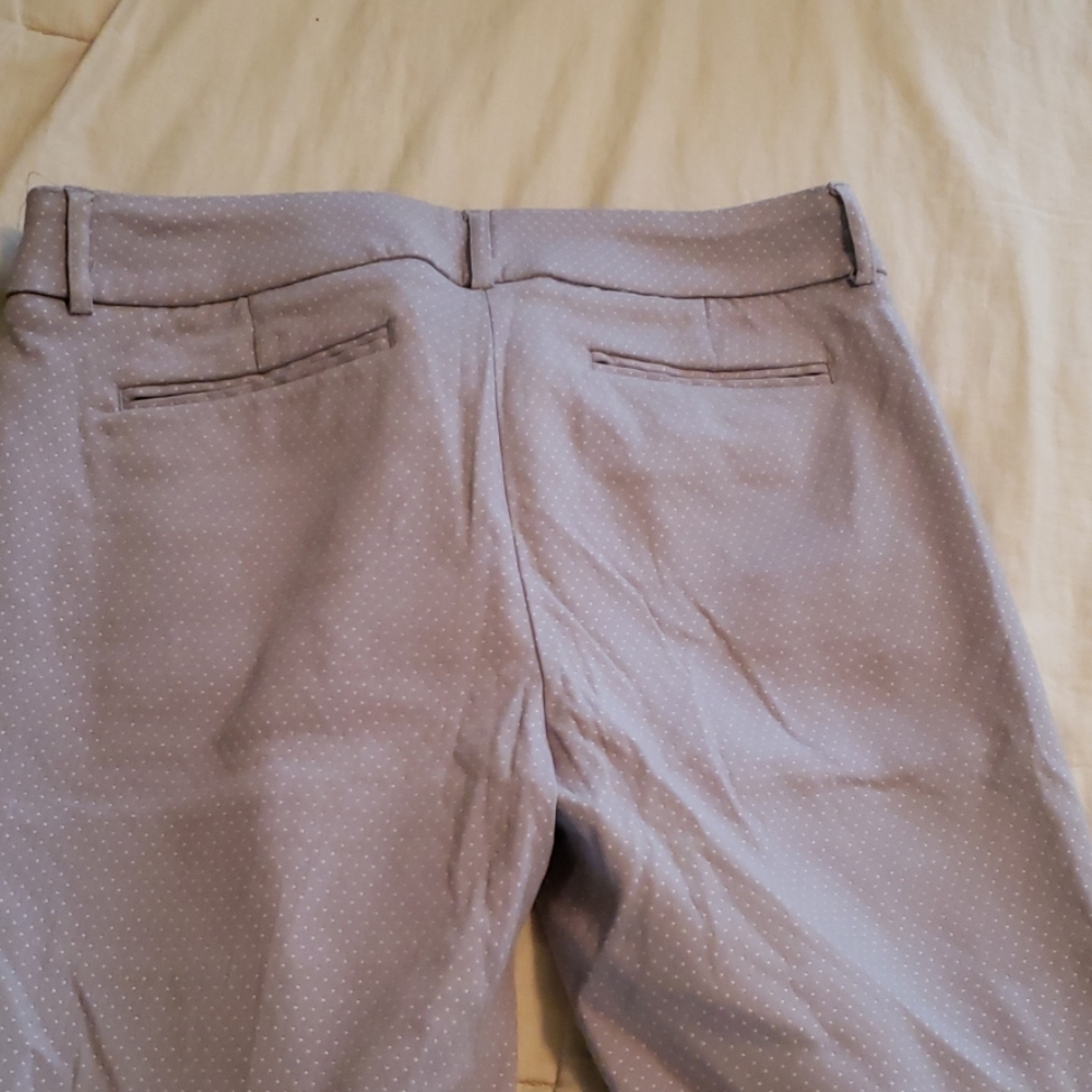 Dress pant